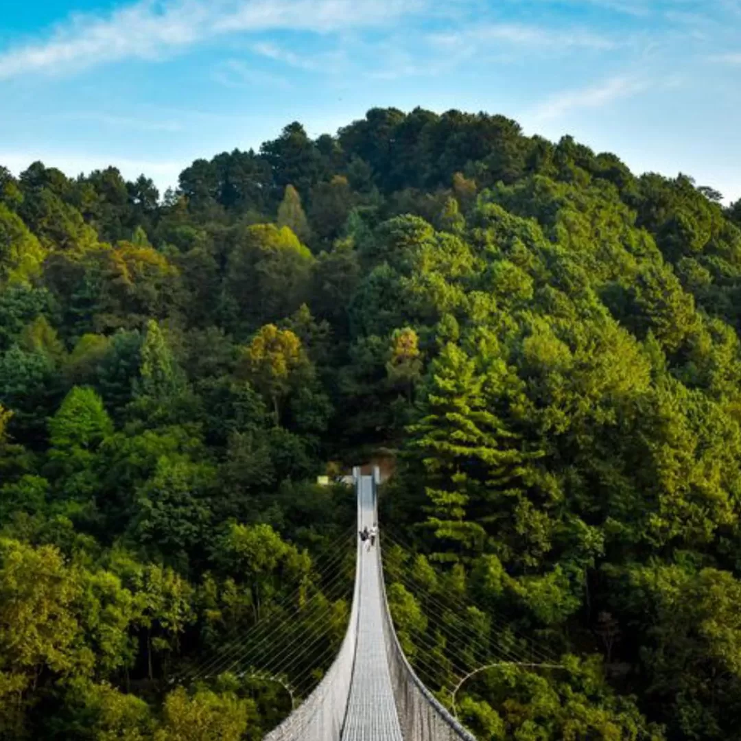 Rani Jhula